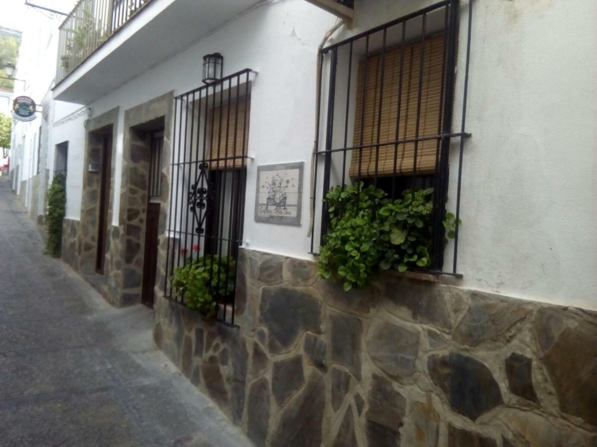 Penzion Casa Rural Majaceite El Bosque Exteriér fotografie